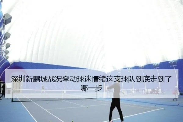 深圳新鹏城战况牵动球迷情绪这支球队到底走到了哪一步