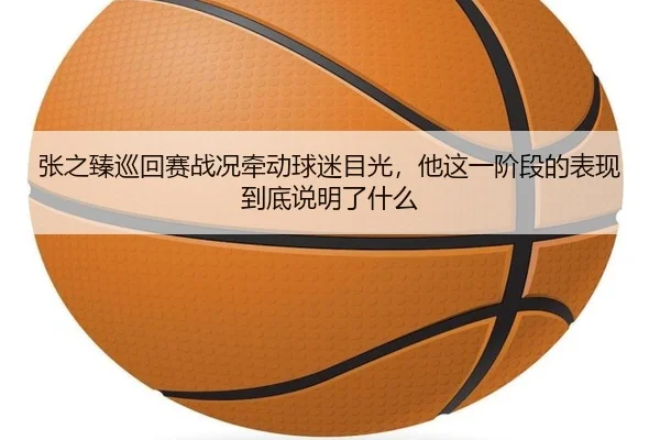 张之臻巡回赛战况牵动球迷目光，他这一阶段的表现到底说明了什么